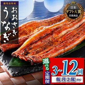 【ふるさと納税】【定期便】うなぎ 長蒲焼 鰻 2尾 4尾 3～12回 配送 定期 | ふるさと納税 うなぎ 高級 ウナギ 鰻 丑の日 国産 蒲焼 蒲焼き たれ うな丼 鰻丼 鹿児島 大隅 大崎町 ふるさと 人気 送料無料