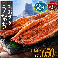 【ふるさと納税】ギフト大賞受賞 ランキング 1位 父の日 うなぎ 国産 鰻...