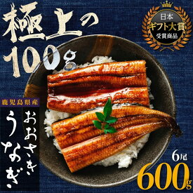 【ふるさと納税】うなぎ 総合ランキング 上位 獲得 鰻 長蒲焼 6尾 600g | ふるさと納税 うなぎ 高級 ウナギ 鰻 国産 蒲焼 蒲焼き たれ 鹿児島 大隅 大崎町 ふるさと 人気 送料無料
