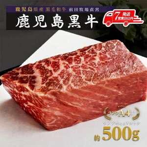 yӂ邳Ɣ[Łzy 7cƓȓ z   v  ubN 500g | v  ӂ邳Ɣ[ a      Y ubN Xe[L [Xgr[t Ԑg 