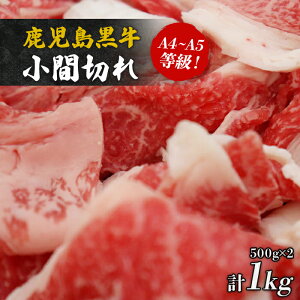 yӂ邳Ɣ[Łz Ԑ؂ 500g ×2 A4 ` A5  | ӂ邳Ɣ[ ܐ؂ ؗ    a 1kg L ؂藎Ƃ Y 蒬 Y B Yi  