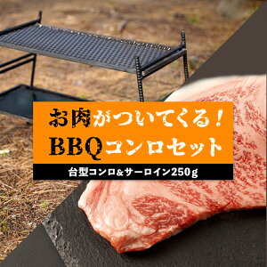 yӂ邳Ɣ[Łz^R  T[C 250g Zbg tĂBBQR | Xe[L o[xL[ AEghA BBQ Lv S R ē  荇킹 Zbg 