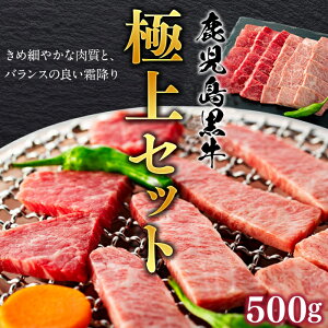 yӂ邳Ɣ[Łz  i ē j ɏZbg 500g 1pbN | ӂ邳Ɣ[ ē Ă  Zbg ~ Y 蒬
