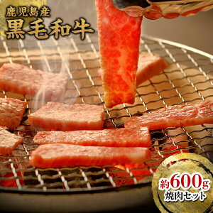 yӂ邳Ɣ[Łz  ēp 600g Zbg | ӂ邳Ɣ[ јa a Ya Y     ē Ă o[xL[ BBQ ĂZbg  o Ef J^ 