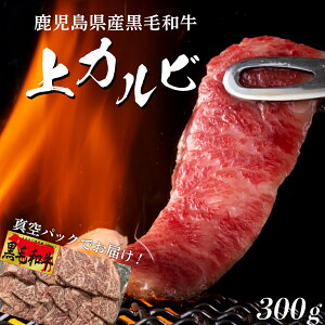 yӂ邳Ɣ[Łzqň јa Jrē ʌ | ē Ă ēZbg Ԑg  a јa Jr   Y Y Ya Ⓚ