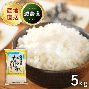 yӂ邳Ɣ[Łz V Ȃق̂ 5kg ߘa7NY Y V  ͂܂_ | ӂ邳Ɣ[    uh ٓ ͂  ɂ  5L  蒬 