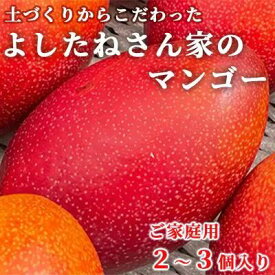 【ふるさと納税】《 先行予約 》 【数量限定】よしたねさん家のマンゴー「ご家庭用2個～3個」 | ふるさと納税 取り寄せ お取り寄せ フルーツ お取り寄せフルーツ ご当地 果物 くだもの マンゴー 特産品 グルメ お礼の品 果実 ご自宅用 鹿児島県大崎町