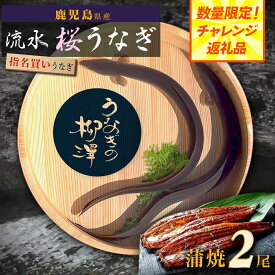 【ふるさと納税】 数量限定 高レビュー 4.6以上 うなぎの柳澤 うなぎ 長蒲焼 2尾 | ふるさと納税 うなぎ 高級 ウナギ 鰻 国産 蒲焼 蒲焼き たれ 鹿児島 大隅 大崎町 ふるさと 人気 送料無料