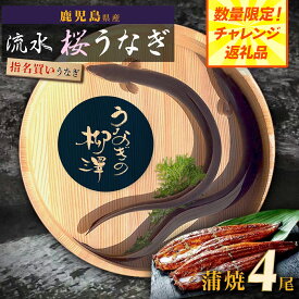 【ふるさと納税】 数量限定 うなぎの柳澤 うなぎ 長蒲焼 4尾 | ふるさと納税 うなぎ 高級 ウナギ 鰻 国産 蒲焼 蒲焼き たれ 鹿児島 大隅 大崎町 ふるさと 人気 送料無料