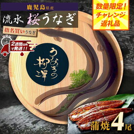 【ふるさと納税】 数量限定 うなぎの柳澤 うなぎ 長蒲焼 4尾 《 2週間以内発送予定 》 | ふるさと納税 うなぎ 高級 ウナギ 鰻 国産 蒲焼 蒲焼き たれ 鹿児島 大隅 大崎町 ふるさと 人気 送料無料