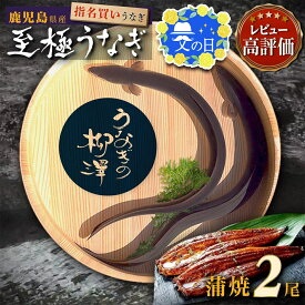 【ふるさと納税】 父の日 プレゼント 高レビュー 4.7以上 うなぎの柳澤 うなぎ 長蒲焼 2尾 340g 以上 | ふるさと納税 うなぎ 高級 ウナギ 鰻 国産 蒲焼 蒲焼き たれ 鹿児島 大隅 大崎町 ふるさと 人気 送料無料