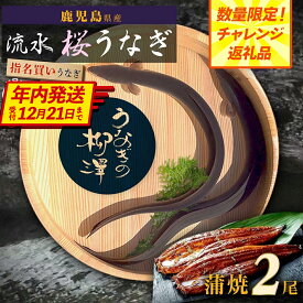 【ふるさと納税】 【年内発送】 数量限定 高レビュー 4.6以上 うなぎの柳澤 うなぎ 長蒲焼 2尾 《 2週間以内発送予定 》 | ふるさと納税 うなぎ 高級 ウナギ 鰻 国産 蒲焼 蒲焼き たれ 鹿児島 大隅 大崎町 ふるさと 人気 送料無料