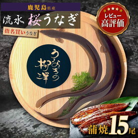 【ふるさと納税】うなぎの柳澤 うなぎ蒲焼 15尾 （計2.55kg） 《 2週間以内発送予定 》 | うなぎ ウナギ 鰻 国産 国産うなぎ セット 大崎町 うなぎ蒲焼 蒲焼 蒲焼き 鰻蒲焼 うなぎ蒲焼き お取り寄せ 鹿児島 鹿児島県大崎町 鹿児島県産