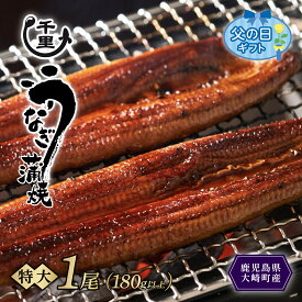 【ふるさと納税】 父の日 プレゼント 鹿児島県産 うなぎ　特大 蒲焼き 1尾あたり 180g以上 | 国産 鹿児島 鰻 ウナギ 国産うなぎ うなぎ蒲焼 鰻蒲焼 蒲焼き 九州 大隅 大崎町 鹿児島県大崎町 丑の日