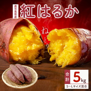 yӂ邳Ɣ[Łzy st zg@g͂邩 | ӂ邳Ɣ[ ܂2kg 5kg  蒬 ܂ Tc}C n   ₳ ƒp