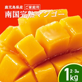 【ふるさと納税】先行受付【2026年発送】 完熟 マンゴー ご家庭用 1kg | まんごー 完熟マンゴー 鹿児島県 大崎町 南国 人気 フルーツ 果物 くだもの 結いの街
