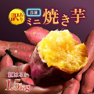yӂ邳Ɣ[Łz 󂠂 ~jTCY ⓀĂ iIׂbg͂邩 [ 1.5kg j | ӂ邳Ɣ[ Ă Ă ₫ ܂ Tc}C ܈  Ⓚ XC[c  
