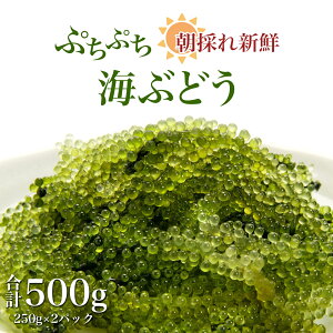 yӂ邳Ɣ[Łzy4ȍ~zC̍K@̂ ՂՂ CԂǂ ̂ VN | Y n BY Y YCԂǂ CԂǂ CuhE 蒬