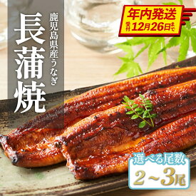 【ふるさと納税】 【年内発送】 国産 うなぎ長蒲焼 2尾 3尾 計320g以上 | 鰻 うなぎ ウナギ 国産 大崎町 蒲焼 蒲焼き 土用の丑の日 うな重 ひつまぶし たれ 鹿児島 国産うなぎ 特産品 鰻蒲焼 支援 国産鰻 うなぎ蒲焼き うなぎ蒲焼 和田養鰻