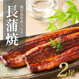 【ふるさと納税】 国産 うなぎ長蒲焼 2尾 3尾 計320g以上 | 鰻 うなぎ ウナギ 国産 大崎町 蒲焼 蒲焼き 土用の丑の日 うな重 ひつまぶし たれ 鹿児島 国産うなぎ 特産品 鰻蒲焼 支援 国産鰻 うなぎ蒲焼き うなぎ蒲焼 和田養鰻