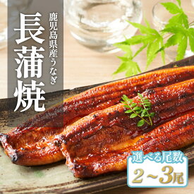 【ふるさと納税】 国産 うなぎ長蒲焼 2尾 3尾 計320g以上 | 鰻 うなぎ ウナギ 国産 大崎町 蒲焼 蒲焼き 土用の丑の日 うな重 ひつまぶし たれ 鹿児島 国産うなぎ 特産品 鰻蒲焼 支援 国産鰻 うなぎ蒲焼き うなぎ蒲焼 和田養鰻