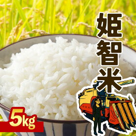 【ふるさと納税】 令和7年産 なつほのか 5kg 鹿児島県産 こめ 智子さんの姫智米 | ふるさと納税 白米 お米 精米 ブランド米 弁当 ごはん ご飯 おにぎり 精米 5キロ 鹿児島県 大崎町 お取り寄せ 送料無料