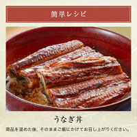 楽天市場 ふるさと納税 19年間ランキング第3位 鹿児島県産うなぎ長蒲焼2尾 九州産 鰻 うなぎ ウナギ 国産 国産うなぎ うなぎ蒲焼 特産品 鰻の蒲焼き 鹿児島県産 2尾 父の日 丑の日 蒲焼 蒲焼き うなぎの蒲焼 名産品 ご当地 ご当地グルメ 鹿児島県大崎町