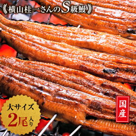 楽天市場 ふるさと納税 父の日 うなぎの通販