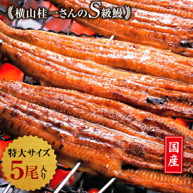 楽天市場 ふるさと納税 うなぎ 大崎町の通販