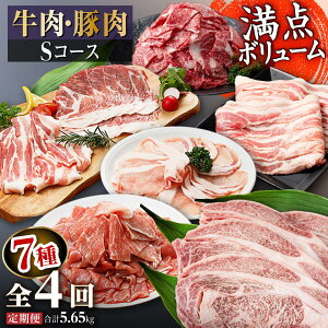yӂ邳Ɣ[Łzyցz EؓSR[X v4 v5.65kg | ӂ邳Ɣ[  ؓ  lߍ킹  ؓ  јa a  [X ؂藎Ƃ Ԃ  