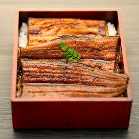 楽天市場 ふるさと納税 父の日 うなぎの通販