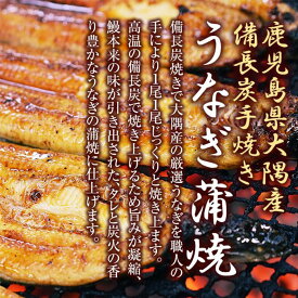 楽天市場 ふるさと納税 父の日 うなぎの通販
