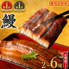 【ふるさと納税】 うなぎ 蒲焼 無頭 国産 ＜2尾〜6尾 / 定期便 選べる＞ 鰻 ウナギ 鹿児島県産 九州産 東串良町 タレ・山椒付 発送時期が選べる 定期便2尾×3回 【アクアおおすみ】