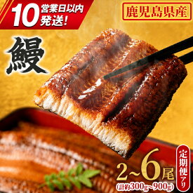 【ふるさと納税】 うなぎ 蒲焼 国産 鹿児島県産 九州産 無頭 ＜1尾～6尾 / 定期便・2尾×3回＞ 鰻 ウナギ 蒲焼き 鹿児島 東串良町 タレ・山椒付 事業者応援品 スピード発送 スピード便 【アクアおおすみ】
