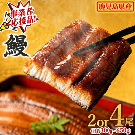 【ふるさと納税】 うなぎ 蒲焼 国産 鹿児島県産 九州産 無頭 ＜ 2尾 4尾 選べる＞ 鰻 ウナギ 蒲焼き 鹿児島 東串良町 タレ・山椒付 事業者応援品 【アクアおおすみ】