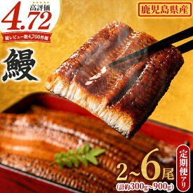 【ふるさと納税】 うなぎ 蒲焼 国産 鹿児島県産 九州産 無頭 ＜2尾〜6尾 / 定期便 選べる＞ 鰻 ウナギ 蒲焼き 鹿児島 東串良町 タレ・山椒付 発送時期が選べる 定期便2尾×3回 【アクアおおすみ】