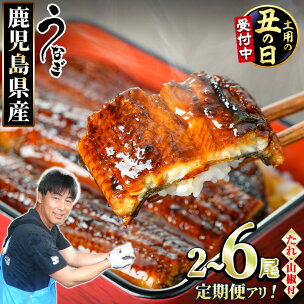 《高評価★4.72獲得》【数量限定】＜定期便選べる＞東串良...