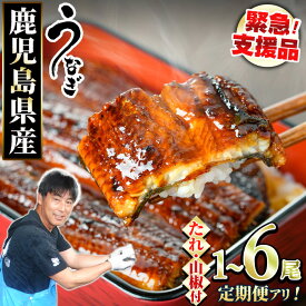 【ふるさと納税】《高評価★4.72獲得》【数量限定】＜定期便選べる＞東串良町のうなぎ蒲焼(無頭・タレ、山椒付)＜1尾～6尾 / 定期便・2尾×3回＞ 丑の日 ふるさと納税 うなぎ ふるさと ウナギ 鰻 蒲焼き 定期便 国産 九州産 鹿児島県産 人気 ランキング 【アクアおおすみ】