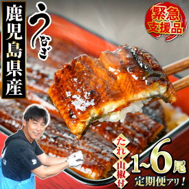 【ふるさと納税】《高評価★4.72獲得》【数量限定】＜定期便選べる＞東串良町のうなぎ蒲焼(無頭・タレ、山椒付)＜1尾～6尾 / 定期便・2尾×3回＞ ふるさと納税 うなぎ ふるさと ウナギ 鰻 蒲焼き 定期便 国産 九州産 鹿児島県産 人気 ランキング おすすめ 【アクアおおすみ】