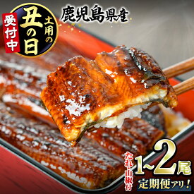 【ふるさと納税】＼高評価★4.72獲得！／総レビュー数4700件越え！＜定期便選べる＞東串良町のうなぎ蒲焼(無頭・タレ、山椒付)＜1尾～2尾 / 定期便・2尾×3回＞ うなぎ 高級 ウナギ 鰻 国産 蒲焼き 定期便 鹿児島 人気 丑の日 スピード発送 お試し 【アクアおおすみ】