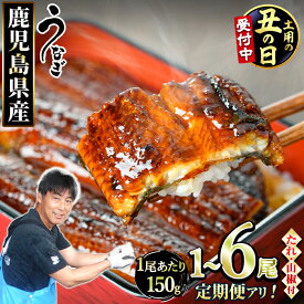 【ふるさと納税】《高評価★4.72獲得》【数量限定】＜定期便選べる＞東串良町のうなぎ蒲焼(無頭・タレ、山椒付)＜1尾～6尾 / 定期便・2尾×3回＞ 丑の日 ふるさと納税 うなぎ ふるさと ウナギ 鰻 蒲焼き 定期便 国産 九州産 鹿児島県産 発送時期が選べる 【アクアおおすみ】