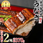 ＜特大＞うなぎ蒲焼き(無頭)(2尾・計約370g・タレ、山椒付) うなぎ 高級 ウナギ 鰻 国産 蒲焼 蒲焼き たれ 鹿児島 ふるさと 人気【アクアおおすみ】【0154302a】