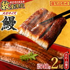 ＜メガサイズ＞うなぎ蒲焼き(無頭)(2尾・計約540g・タレ、山椒付) うなぎ 高級 ウナギ 鰻 国産 蒲焼 蒲焼き たれ 鹿児島 ふるさと 人気【アクアおおすみ】【0194305a】
