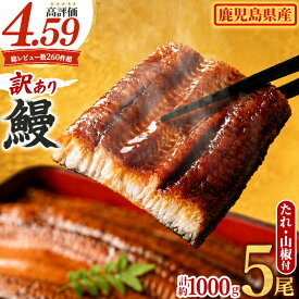 【ふるさと納税】＼高評価★4.59獲得！／＜訳あり＞東串良町のうなぎ蒲焼(無頭)(5尾以上・計約1kg・タレ、山椒付) うなぎ 蒲焼長焼 ウナギ 鰻 蒲焼き 国産 九州産 鹿児島 鹿児島県産 人気 ランキング 高級【アクアおおすみ】【0254362a】