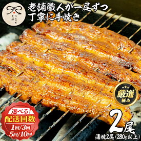 【ふるさと納税】鹿児島県産東串良町のうなぎ蒲焼・秘伝のタレ付き＜2尾・計280g以上/2尾・計280g以上×3回/2尾・計280g以上×5回/2尾・計280g以上×10回＞ うなぎ 高級 ウナギ 鰻 国産 蒲焼 蒲焼き 鰻の蒲焼 タレ たれ 鹿児島 鹿児島県産 定期便【うなぎ太郎】