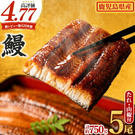 【ふるさと納税】＼高評価★4.77獲得！／東串良町のうなぎ蒲焼(無頭)(5尾・計約750g・タレ、山椒付) うなぎ 蒲焼長焼 ウナギ 鰻 蒲焼き 国産うなぎ 国産 九州産 鹿児島 鹿児島県産 人気 ランキング 高級【アクアおおすみ】【0294315a】