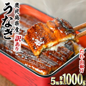 【ふるさと納税】＼高評価★4.59獲得！／＜訳あり＞東串良町のうなぎ蒲焼(無頭)(5尾以上・計約1kg・タレ、山椒付) うなぎ 蒲焼長焼 ウナギ 鰻 蒲焼き 国産 九州産 鹿児島 鹿児島県産 人気 ランキング 高級 おすすめ たれ さんしょう 【アクアおおすみ】【0304313a】