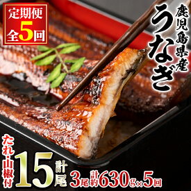 【ふるさと納税】＼高評価★4.9獲得！／＜定期便・全5回＞東串良町のうなぎ蒲焼(無頭)(3尾・計約630g・タレ、山椒付×5回) うなぎ 蒲焼長焼 ウナギ 鰻 蒲焼き 国産うなぎ 国産 九州産 鹿児島 鹿児島県産 人気 ランキング 高級 おすすめ 定期便 【アクアおおすみ】【113044】