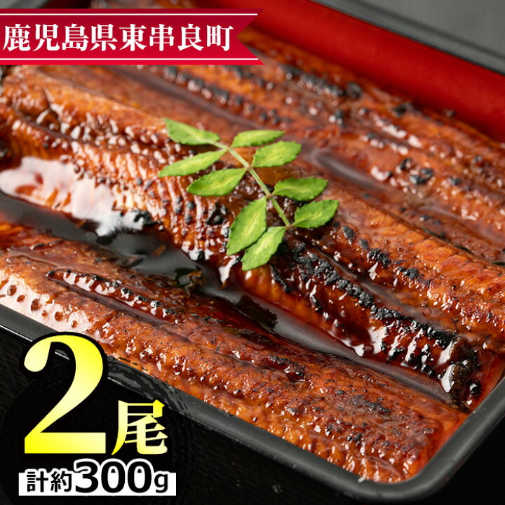 楽天市場 ふるさと納税 先行予約受付中 22年10月以降順次発送予定 東串良町のうなぎ蒲焼 無頭 2尾 計約300g タレ 山椒付 うなぎ 生産量日本一の鹿児島県 国産で安心 豊富な地下水で育った鰻の蒲焼き アクアおおすみ 鹿児島県東串良町