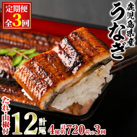 【ふるさと納税】＼高評価★4.81獲得！／＜定期便・全3回＞東串良町のうなぎ蒲焼(無頭)(4尾・計約720g・タレ、山椒付×3回) うなぎ 高級 ウナギ 鰻 国産 蒲焼 蒲焼き たれ 鹿児島 ふるさと 人気【アクアおおすみ】【80042】